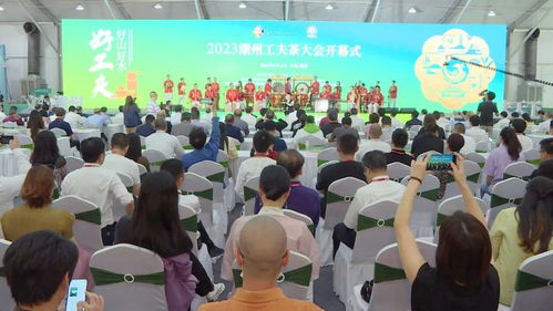 2023盛会大展接连不断，天盛会展激发城市发展新活力